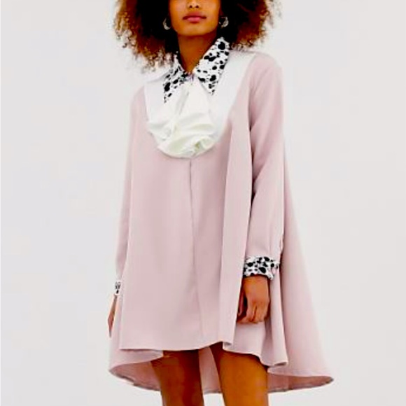 Sister Jane Dresses & Skirts - Sister Jane Blush Long Sleeve Dress with White Details